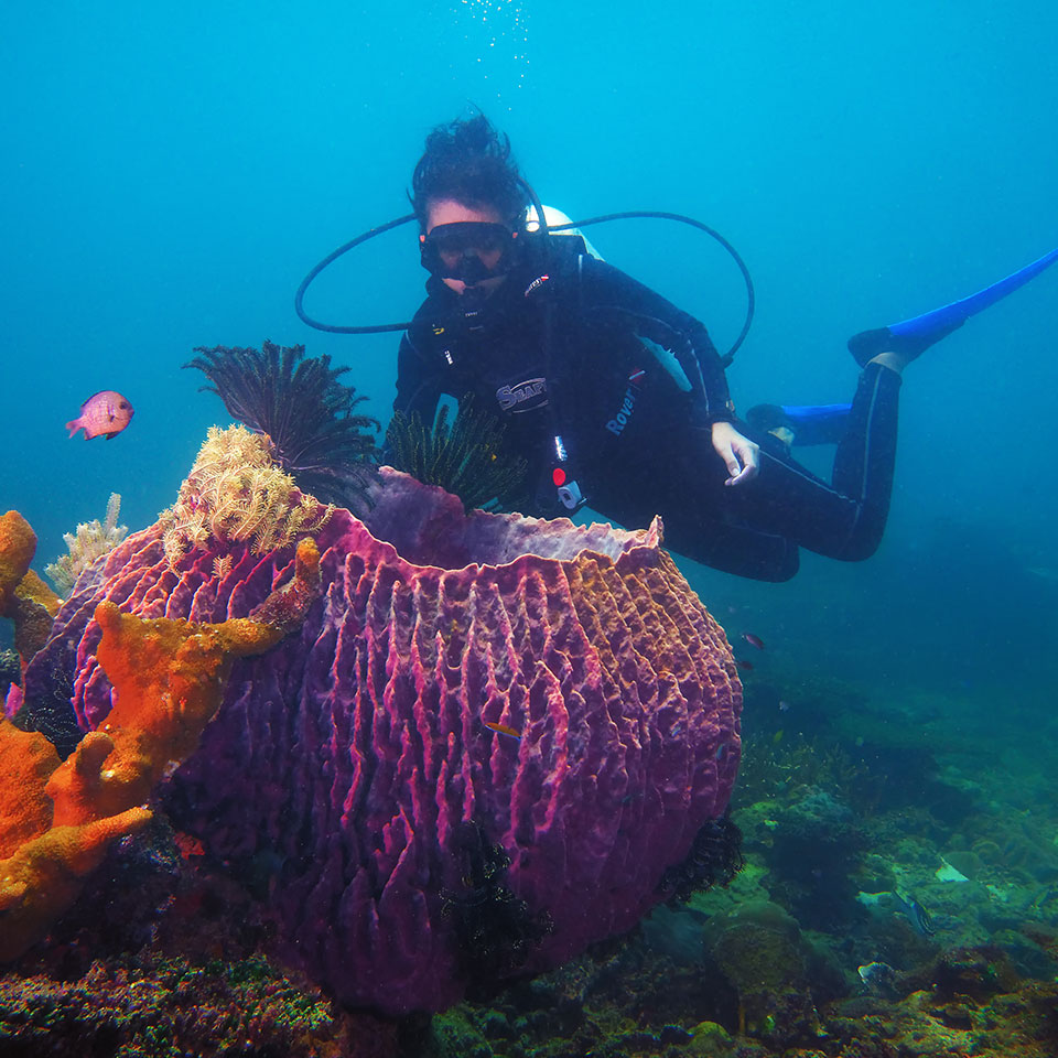 Scuba Diving